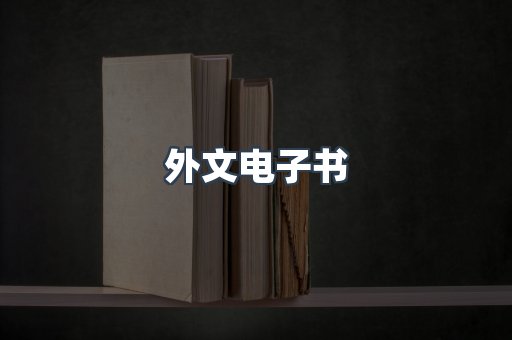 外文电子书